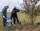 В Нижневартовске на одну яблоневую аллею стало больше