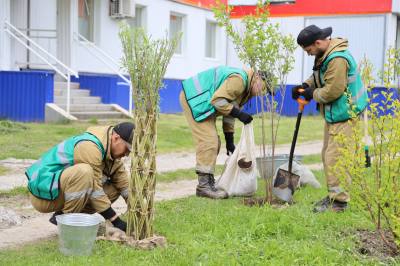 В Нижневартовске появился «Сад дружбы» /ФОТО/