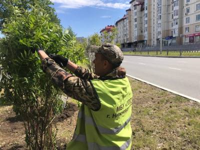 Березы, ели, калины, ивы будут высажены в городе в рамках программы озеленения 