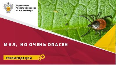 Сезон активности клещей совсем близко Сезон активности клещей совсем близко