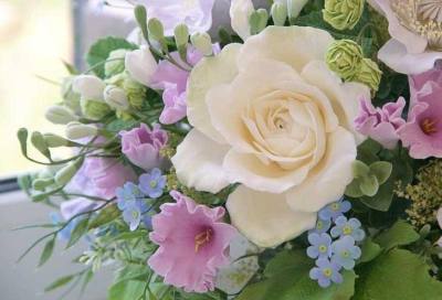 Поздравление главы города Дмитрия Кощенко с Днём социального работника