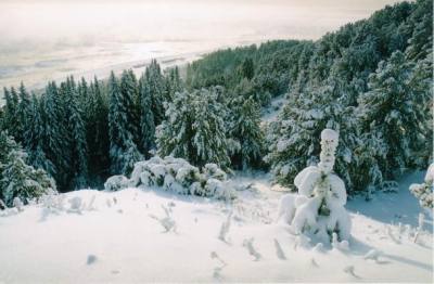 Поздравление главы города Нижневартовска Дмитрия Кощенко с Днем образования Ханты-Мансийского автономного округа – Югры Поздравление главы города Нижневартовска Дмитрия Кощенко с Днем образования Ханты-Мансийского автономного округа – Югры