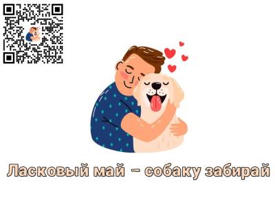 Акция «Ласковый май – собаку забирай!»