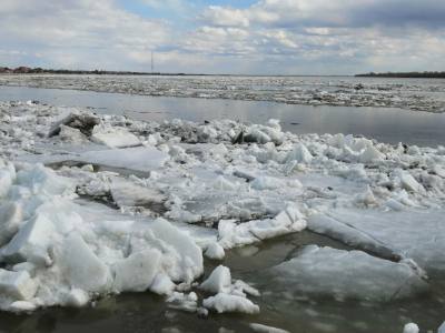 Уровень воды в Оби на 12 мая