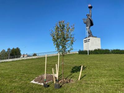 Общими усилиями сделаем город комфортнее Общими усилиями сделаем город комфортнее