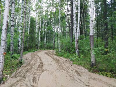 Организаторы забега «Сила Самотлора» приглашают вартовчан Организаторы забега «Сила Самотлора» приглашают вартовчан