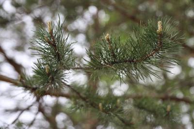 Штормовое предупреждение 