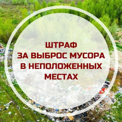 Ответственность за оставление мусора в неположенном месте