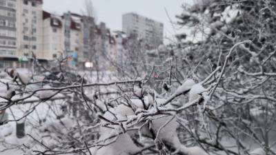 Будьте бдительны /ИНФОГРАФИКА/