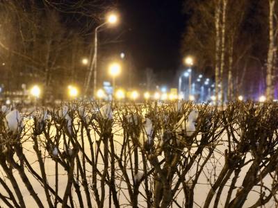 УЧАСТНИКИ СВО, ПРИБЫВШИЕ В ОТПУСК В ЮГРУ, ПОЛУЧАТ ФИКСИРОВАННУЮ ВЫПЛАТУ
