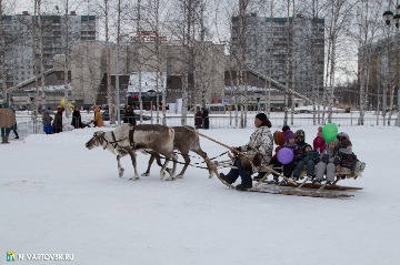 Фотография 16