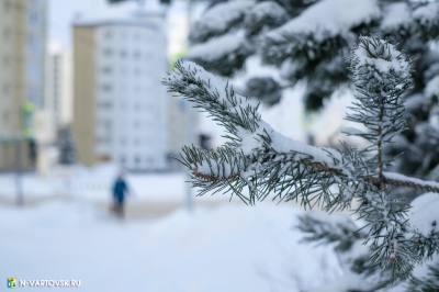 Социальная выплата неработающим пенсионерам Нижневартовска