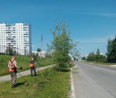 В этом году на улицах Нижневартовска высадят более 22 тысяч саженцев цветов В этом году на улицах Нижневартовска высадят более 22 тысяч саженцев цветов