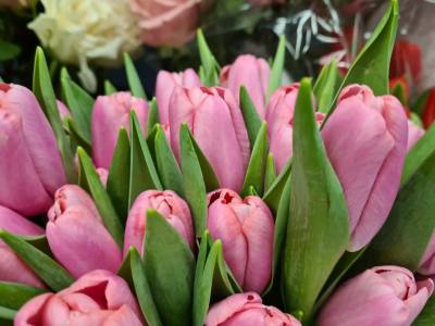 Поздравление полномочного представителя президента России в УрФО Владимира Якушева – Международным женским днем!