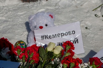 Фотография 21
