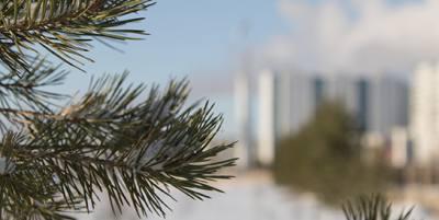 Школа правовой грамотности         