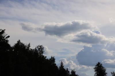 Внимание: ожидается гроза