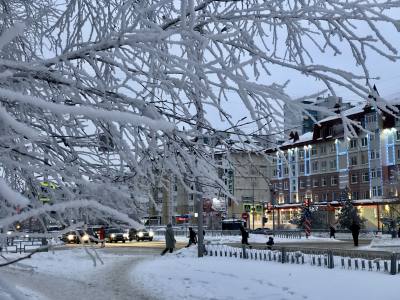 Вниманию работодателей! 