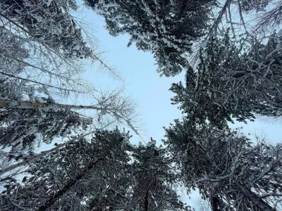 Опрос «Туристические тропы России» Опрос «Туристические тропы России»