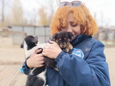 Им нужен ты: как присоединиться к акциям добра Им нужен ты: как присоединиться к акциям добра