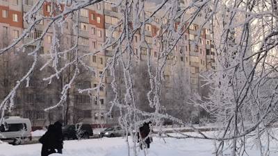 Безопасность в морозы: рекомендации для взрослых и детей