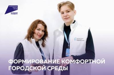Формирование волонтёрского корпуса комфортной городской среды 