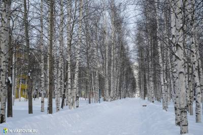 Вартовчан приглашают принять участие в опросе