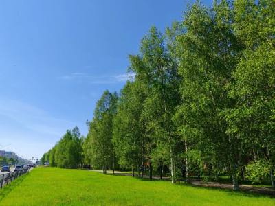 В некоторых районах Югры установлен пятый класс пожарной опасности