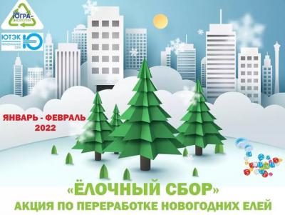 Елки – на переработку Елки – на переработку