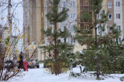 О социальных выплатах в четвертом квартале 2023 года