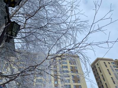 Социальное предпринимательство: новые услуги для вартовчан 