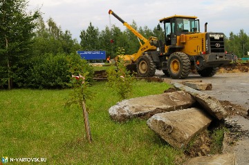 Фотография 14