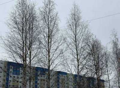 Внимание: неблагоприятные погодные явления