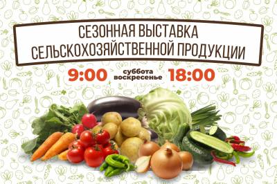 Выставка сельхозпродукции  