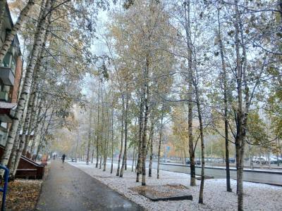 Радиационная обстановка в городе благоприятная Радиационная обстановка в городе благоприятная