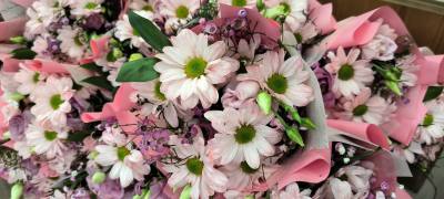 Поздравление главы города Дмитрия Кощенко с Международным женским днем!