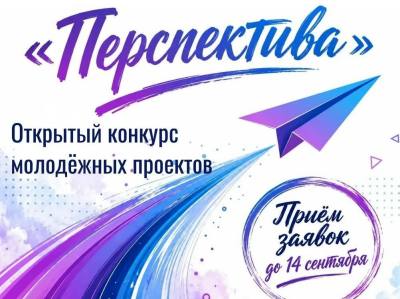 Открытый конкурс молодёжных проектов «Перспектива» Открытый конкурс молодёжных проектов «Перспектива»