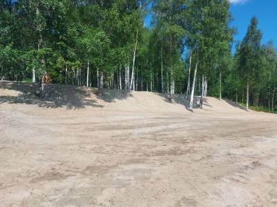 Введен запрет на посещение лесов