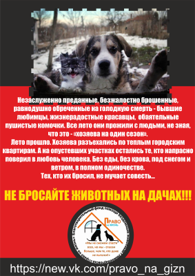 НЕ БРОСАЙТЕ ЖИВОТНЫХ НА ДАЧАХ НЕ БРОСАЙТЕ ЖИВОТНЫХ НА ДАЧАХ
