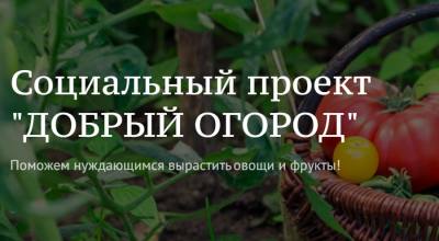 О результатах конкурса агроволонтерских проектов «Добрый огород»