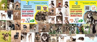 Бережное отношение к животным – важная часть воспитания /ФОТО/