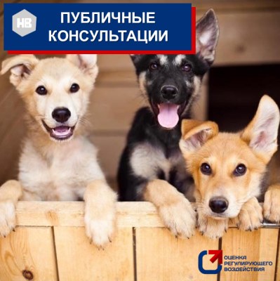 Вниманию предпринимателей! Публичные консультации по постановлению Правительства автономного округа от 10.04.2020 № 118-п «О порядке организации деятельности приютов для животных в Ханты-Мансийском автономном округе – Югре и нормах содержания животных в 