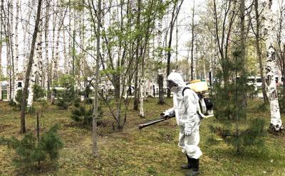 Обработка территорий продолжится 