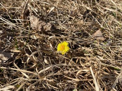 Требования пожарной безопасности 