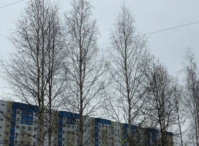 Внимание: неблагоприятные погодные явления