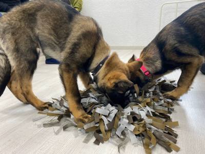 Урок доброты