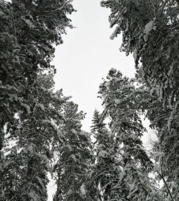 В Югре дан старт «Экологической фотоохоте»