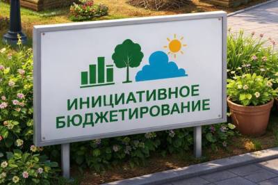 Голосование за инициативные проекты