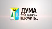 Дума уполномочена поручить…» Дума уполномочена поручить…»