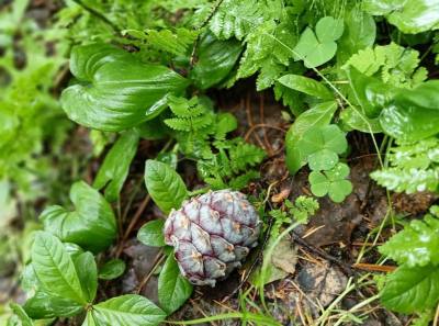 Участвуйте в опросе Участвуйте в опросе